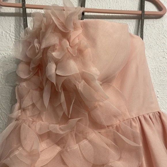 White by Vera Wang Tulle Puff Pink Dress Size 0 - Picture 5 of 8